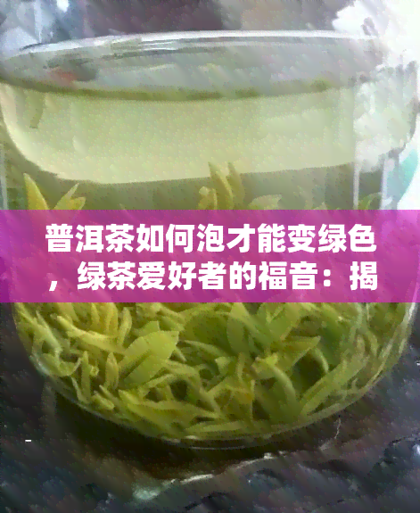 普洱茶如何泡才能变绿色，绿茶爱好者的福音：揭秘普洱茶变成绿色的正确泡法！