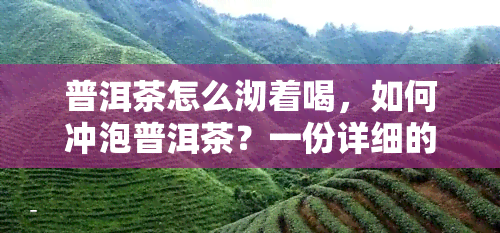 普洱茶怎么沏着喝，如何冲泡普洱茶？一份详细的沏茶指南