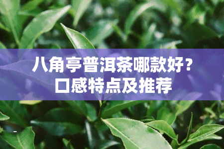 八角亭普洱茶哪款好？口感特点及推荐