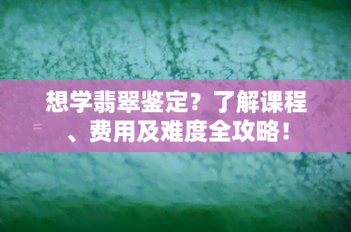 想学翡翠鉴定？了解课程、费用及难度全攻略！