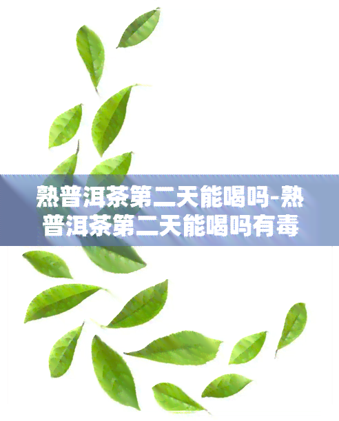 熟普洱茶第二天能喝吗-熟普洱茶第二天能喝吗有吗