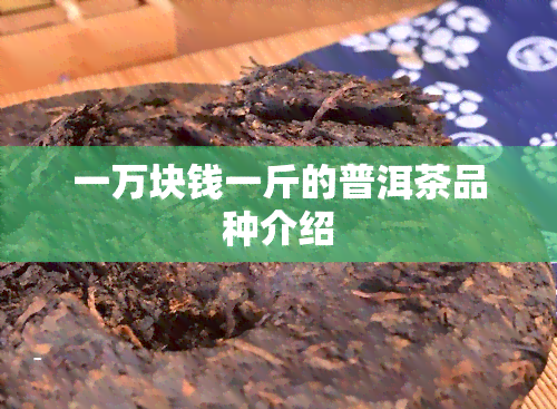 一万块钱一斤的普洱茶品种介绍