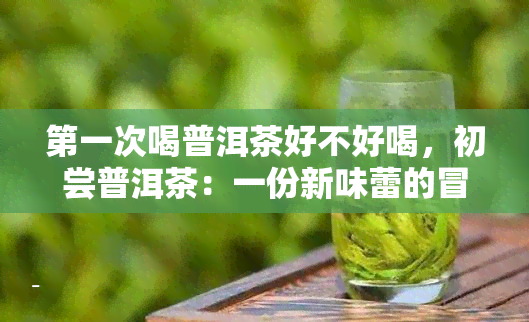 之一次喝普洱茶好不好喝，初尝普洱茶：一份新味蕾的冒险