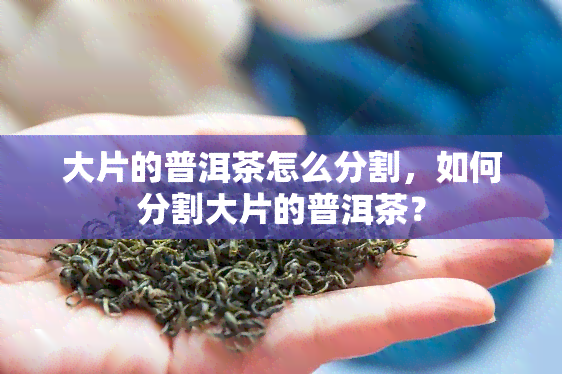 大片的普洱茶怎么分割，如何分割大片的普洱茶？