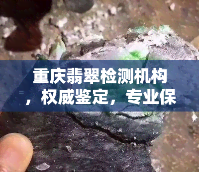 重庆翡翠检测机构，权威鉴定，专业保障——重庆翡翠检测机构