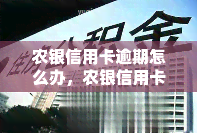 农银信用卡逾期怎么办，农银信用卡逾期处理攻略