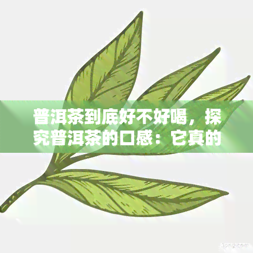 普洱茶到底好不好喝，探究普洱茶的口感：它真的好喝吗？