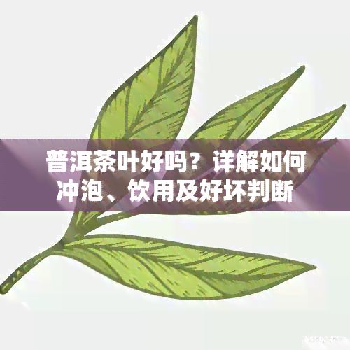 普洱茶叶好吗？详解如何冲泡、饮用及好坏判断