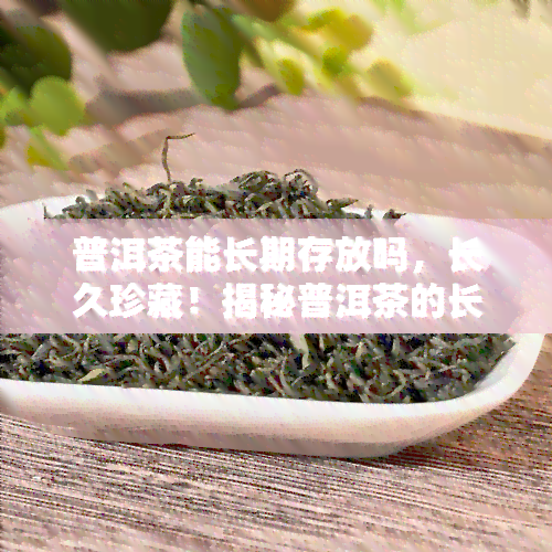 普洱茶能长期存放吗，长久珍藏！揭秘普洱茶的长期存放之道