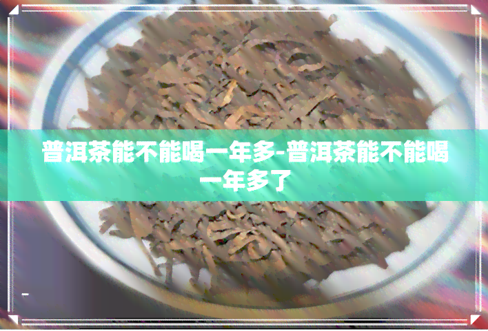 普洱茶能不能喝一年多-普洱茶能不能喝一年多了