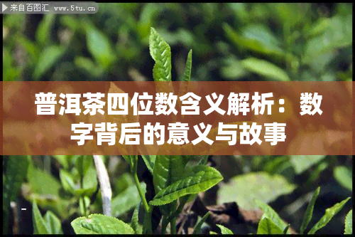 普洱茶四位数含义解析：数字背后的意义与故事