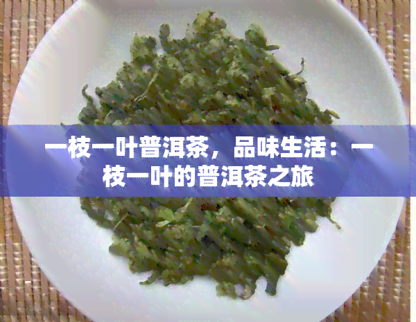 一枝一叶普洱茶，品味生活：一枝一叶的普洱茶之旅