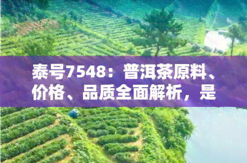 泰号7548：普洱茶原料、价格、品质全面解析，是否为拼配茶？