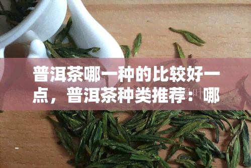 普洱茶哪一种的比较好一点，普洱茶种类推荐：哪种口感更胜一筹？