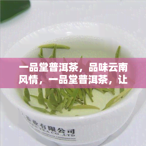 一品堂普洱茶，品味云南风情，一品堂普洱茶，让你领略独特的茶文化！