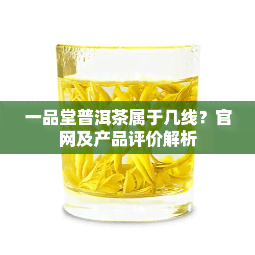 一品堂普洱茶属于几线？官网及产品评价解析