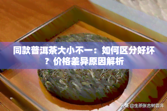 同款普洱茶大小不一：如何区分好坏？价格差异原因解析