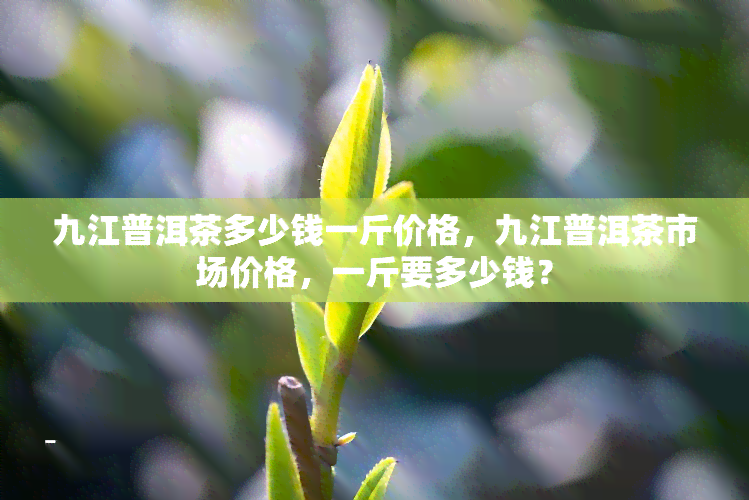 九江普洱茶多少钱一斤价格，九江普洱茶市场价格，一斤要多少钱？