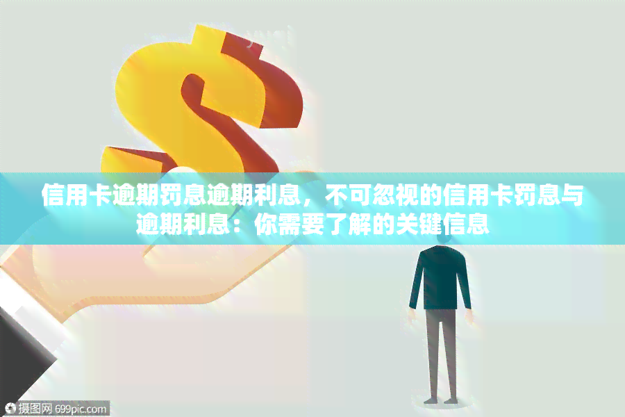 信用卡逾期罚息逾期利息，不可忽视的信用卡罚息与逾期利息：你需要了解的关键信息