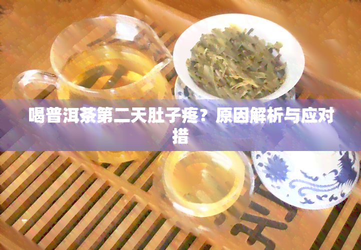 喝普洱茶第二天肚子疼？原因解析与应对措