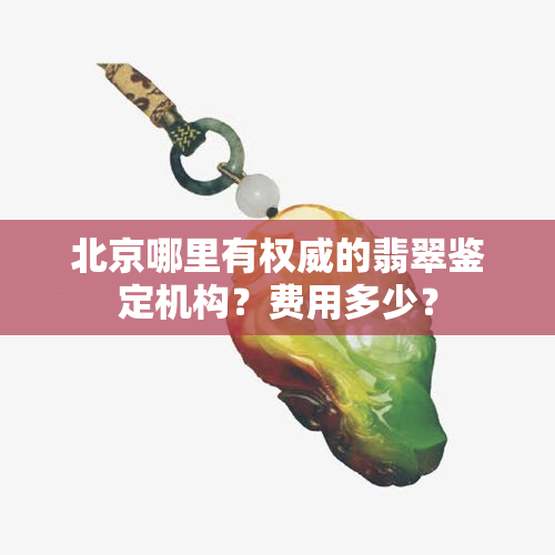 北京哪里有权威的翡翠鉴定机构？费用多少？