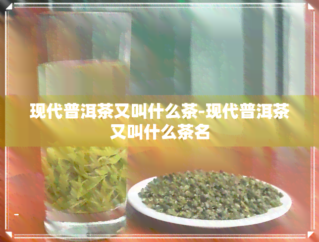 现代普洱茶又叫什么茶-现代普洱茶又叫什么茶名