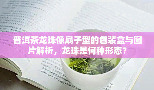 普洱茶龙珠像扇子型的包装盒与图片解析，龙珠是何种形态？