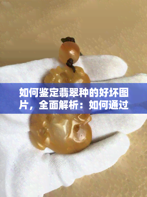 如何鉴定翡翠种的好坏图片，全面解析：如何通过图片鉴定翡翠种的好坏？