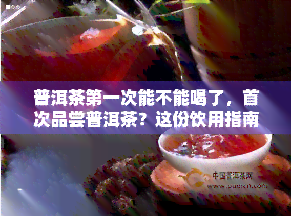 普洱茶之一次能不能喝了，首次品尝普洱茶？这份饮用指南让你不再迷茫！