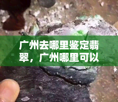 广州去哪里鉴定翡翠，广州哪里可以进行翡翠鉴定？