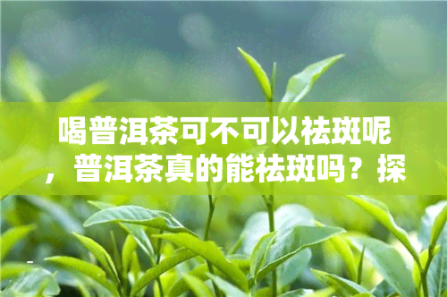 喝普洱茶可不可以祛斑呢，普洱茶真的能祛斑吗？探讨其功效与作用