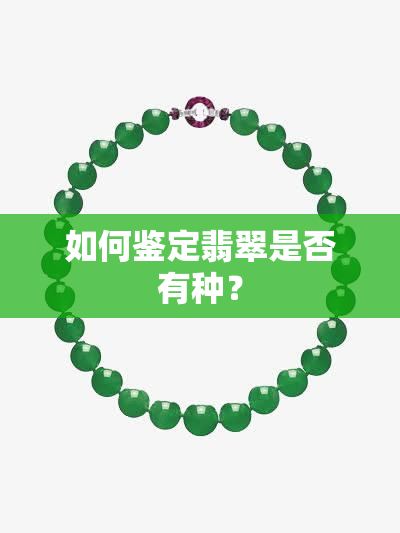 如何鉴定翡翠是否有种？