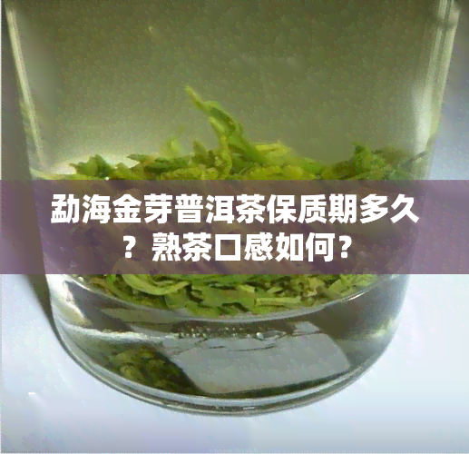 勐海金芽普洱茶保质期多久？熟茶口感如何？