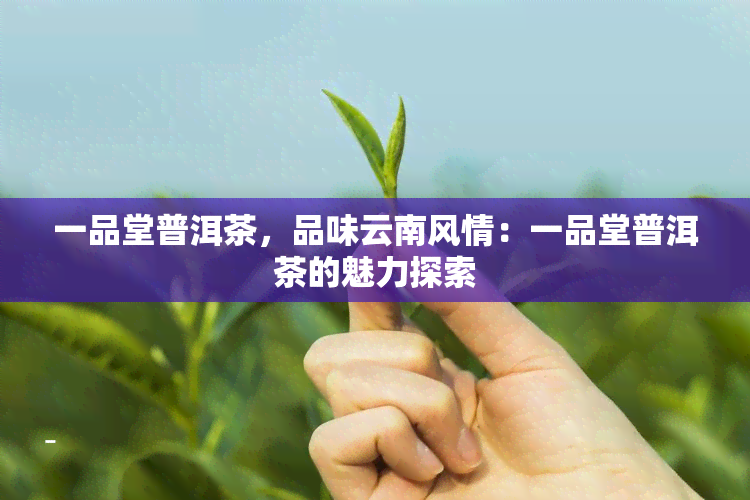 一品堂普洱茶，品味云南风情：一品堂普洱茶的魅力探索