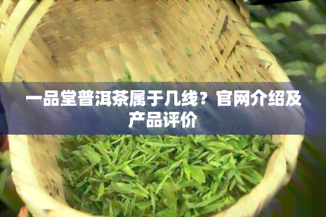 一品堂普洱茶属于几线？官网介绍及产品评价