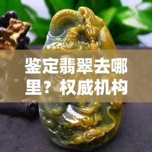 鉴定翡翠去哪里？权威机构为你解答！