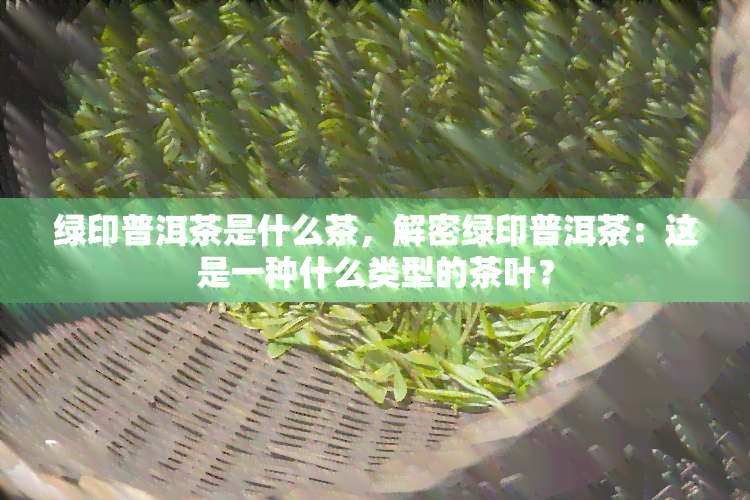 绿印普洱茶是什么茶，解密绿印普洱茶：这是一种什么类型的茶叶？