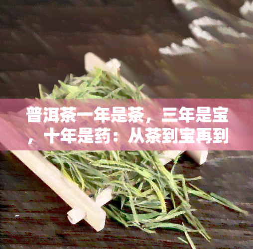 普洱茶一年是茶，三年是宝，十年是：从茶到宝再到的转化历程