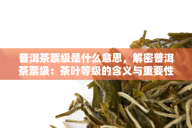 普洱茶票级是什么意思，解密普洱茶票级：茶叶等级的含义与重要性