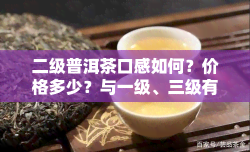 二级普洱茶口感如何？价格多少？与一级、三级有何区别？