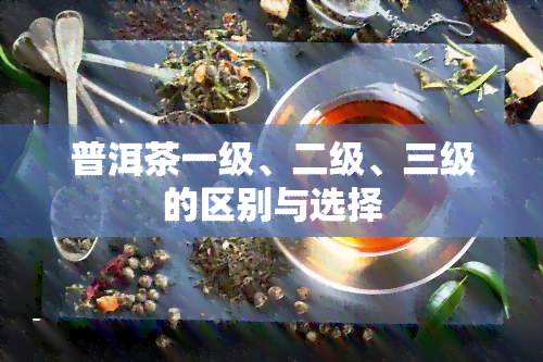 普洱茶一级、二级、三级的区别与选择