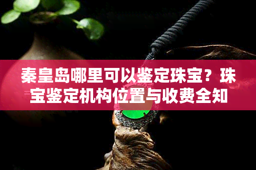 秦皇岛哪里可以鉴定珠宝？珠宝鉴定机构位置与收费全知道！