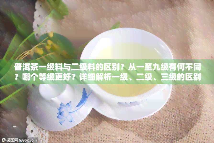 普洱茶一级料与二级料的区别？从一至九级有何不同？哪个等级更好？详细解析一级、二级、三级的区别及优劣。