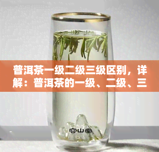 普洱茶一级二级三级区别，详解：普洱茶的一级、二级、三级有何区别？