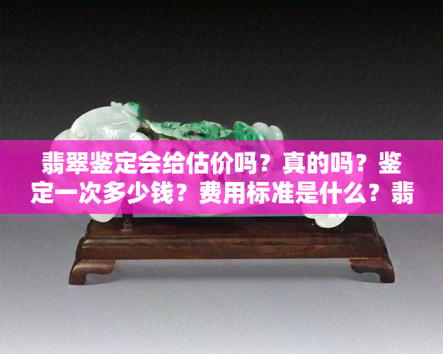 翡翠鉴定会给估价吗？真的吗？鉴定一次多少钱？费用标准是什么？翡翠鉴定所全解析