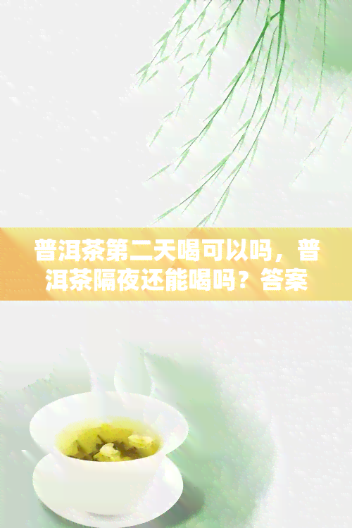 普洱茶第二天喝可以吗，普洱茶隔夜还能喝吗？答案在这里