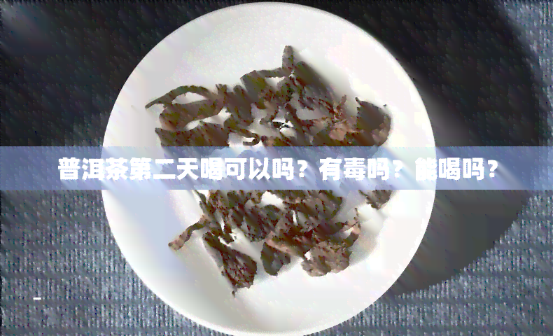 普洱茶第二天喝可以吗？有吗？能喝吗？