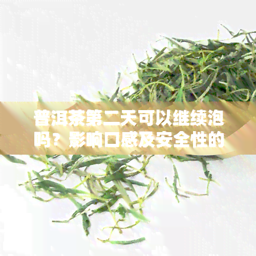 普洱茶第二天可以继续泡吗？影响口感及安全性的因素解析