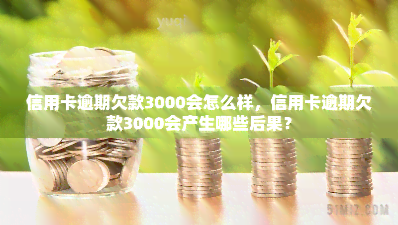 信用卡逾期欠款3000会怎么样，信用卡逾期欠款3000会产生哪些后果？