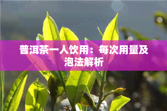 普洱茶一人饮用：每次用量及泡法解析